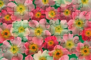 imagenes jigsaw puzzle