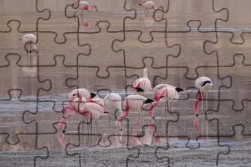 Laguna Grande. Catamarca. Argentina jigsaw puzzle