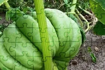 imagens jigsaw puzzle