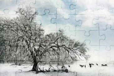 winter-119