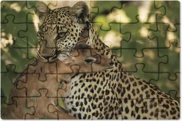 imagenes jigsaw puzzle
