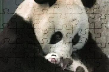 imagenes jigsaw puzzle