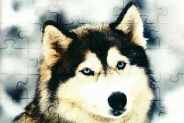 imagenes jigsaw puzzle