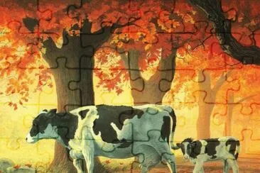 vacas