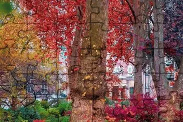 Bosque encantado jigsaw puzzle