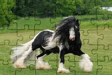  jigsaw puzzle