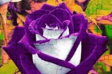 Beautiful jigsaw puzzle