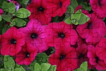 imagens jigsaw puzzle