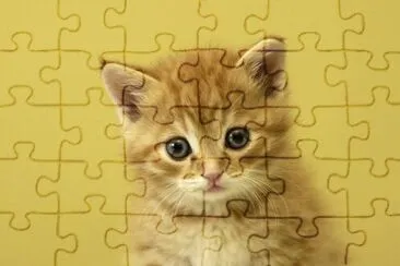 pequeÃ±o jigsaw puzzle