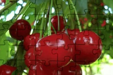 cerezas jigsaw puzzle