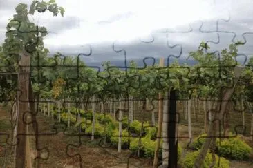 vid jigsaw puzzle