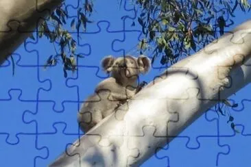 vzla jigsaw puzzle