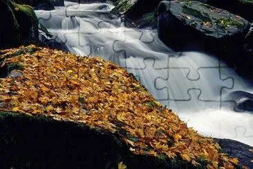 vzla jigsaw puzzle