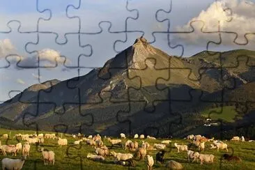 vzla jigsaw puzzle
