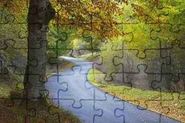 vzla jigsaw puzzle