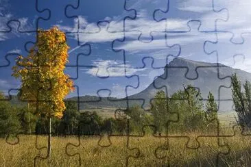 vzla jigsaw puzzle
