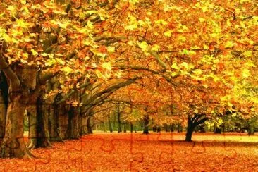 Natureza