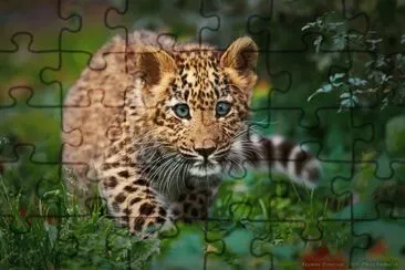 Natureza