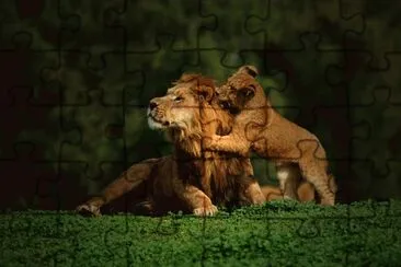 Natureza