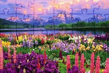Natureza jigsaw puzzle