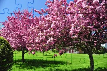 Natureza jigsaw puzzle