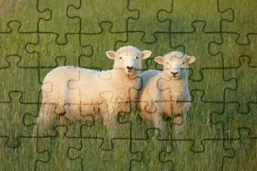 Natureza jigsaw puzzle