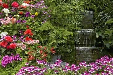 Natureza jigsaw puzzle