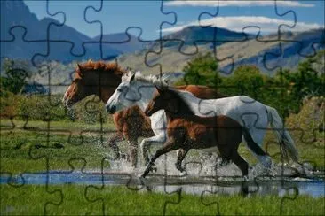 Natureza jigsaw puzzle