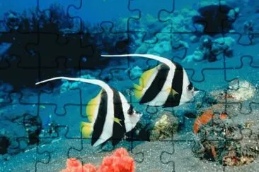 Natureza jigsaw puzzle