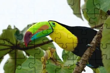 Natureza jigsaw puzzle