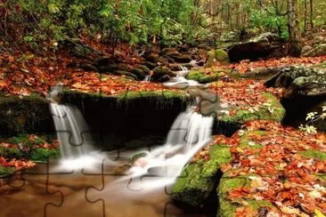Natureza jigsaw puzzle