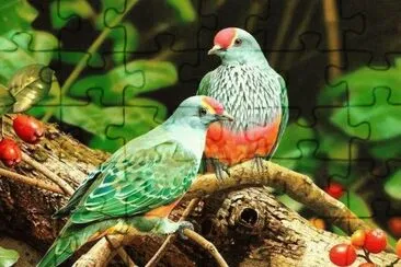 Natureza jigsaw puzzle