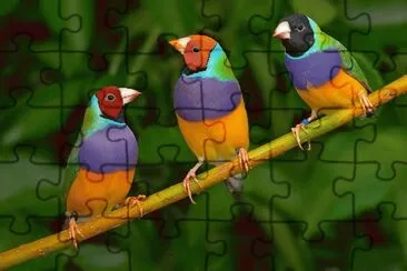 Natureza jigsaw puzzle