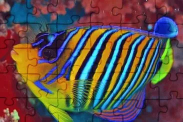 Natureza jigsaw puzzle