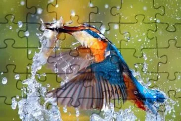 Natureza jigsaw puzzle