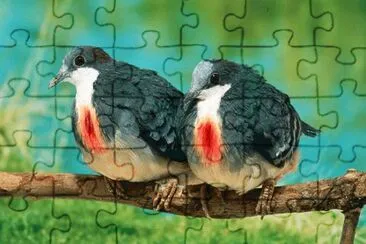 Natureza jigsaw puzzle