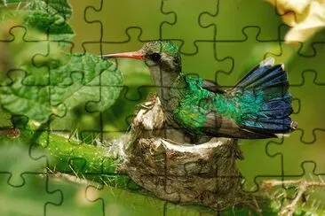 Natureza jigsaw puzzle