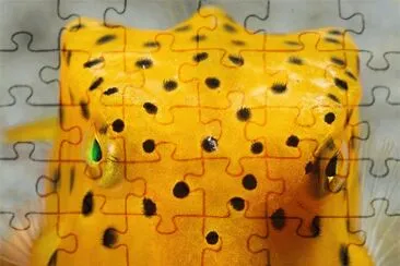 Natureza jigsaw puzzle
