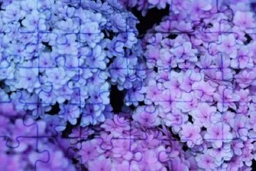 Natureza jigsaw puzzle