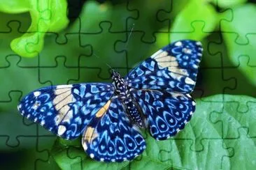 Natureza jigsaw puzzle