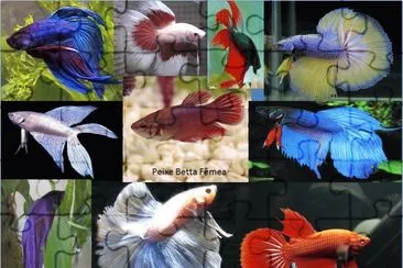 Natureza jigsaw puzzle