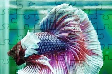 Natureza jigsaw puzzle