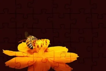 la abeja