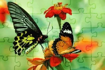 Natureza jigsaw puzzle