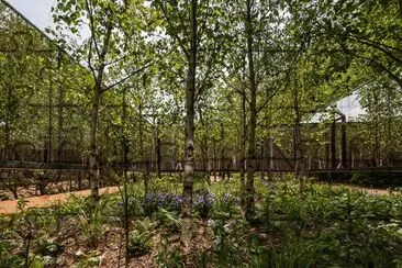 meir garden jigsaw puzzle