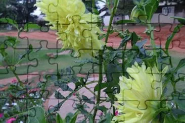 imagens jigsaw puzzle