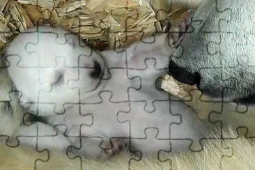 mom#199 jigsaw puzzle