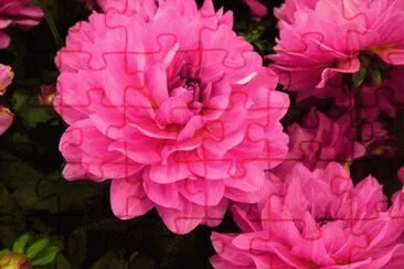 imagens jigsaw puzzle