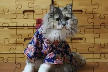 kimono