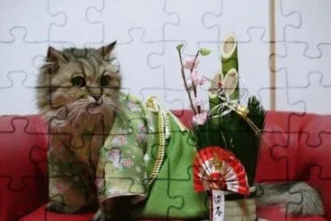kimono jigsaw puzzle